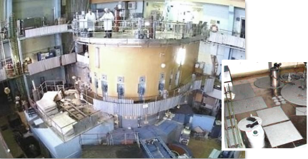 IR-100 nuclear research reactor used for matrix activation