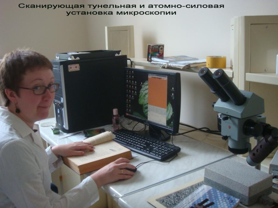 Scanning tunnelling and atomic-force microscope rig